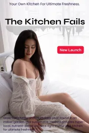 The Kitchen Fails